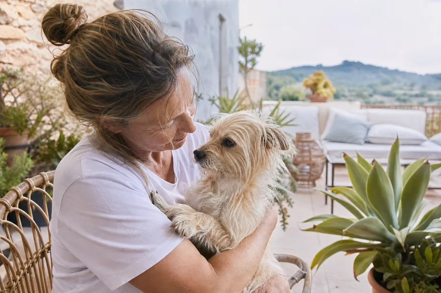 Tierschutzarbeit und Helfer auf Mallorca
